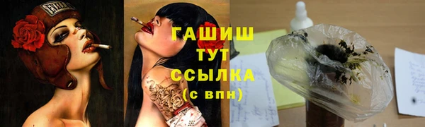Альфа ПВП Бородино