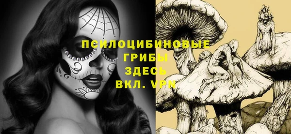 Альфа ПВП Бородино