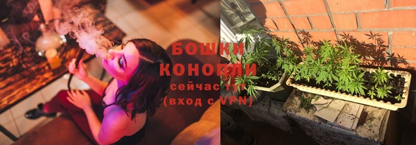 мдпв Бугульма