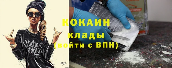 Альфа ПВП Бородино