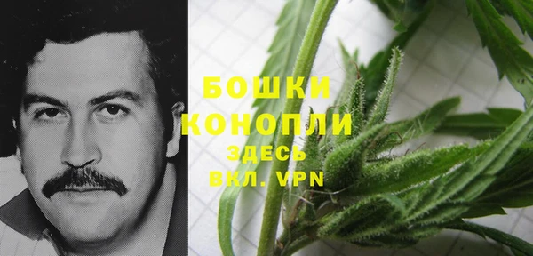мдпв Бугульма