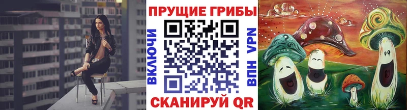 Псилоцибиновые грибы Psilocybine cubensis Медногорск